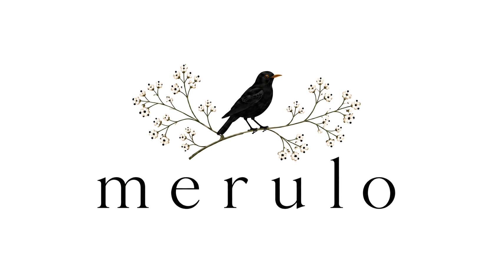 Merulo